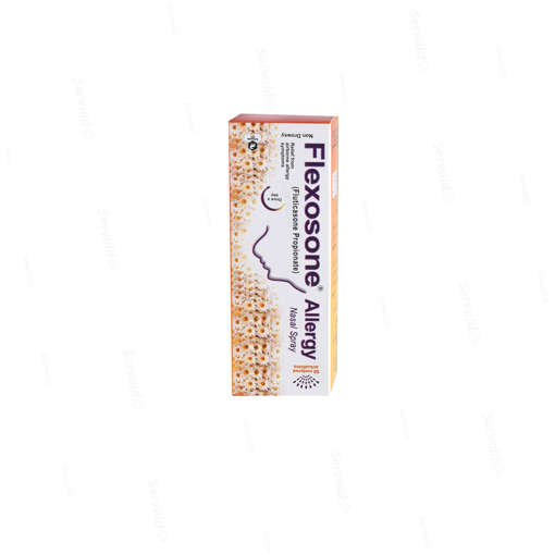Picture of Flexosone Allergy Nasal Spray